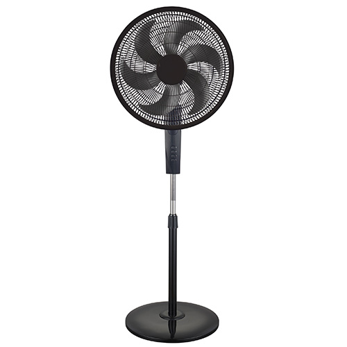 new stand fan